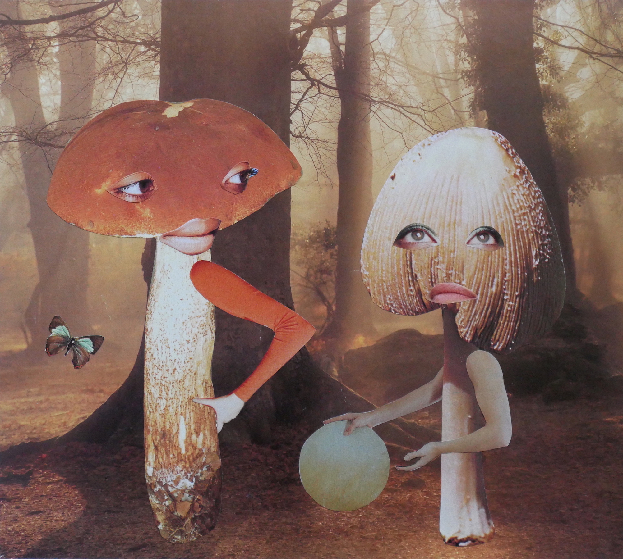 Seana Gavin Mushroom Collage