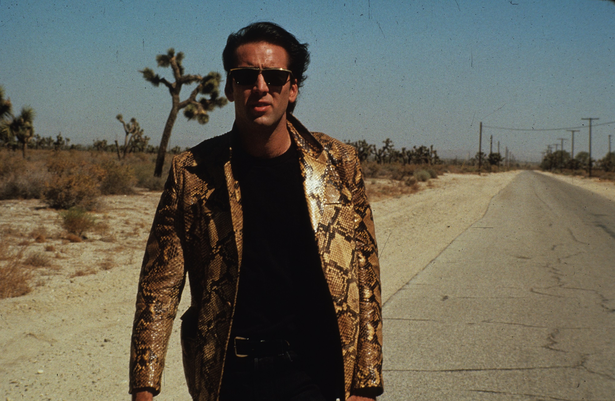 Wild at Heart. Image courtesy of NBC Universal